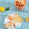 8 Pcs Ice Pops, Ice Cream Maker